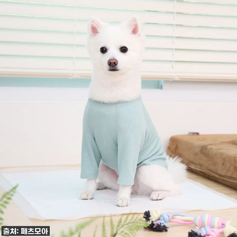 페츠모아 요술배변패드 특대형 찐후기: 관련 이미지 1