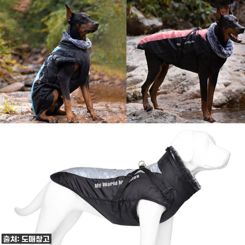 한파에도 끄떡없어! ❄️ 우리 토리 관련 이미지 1