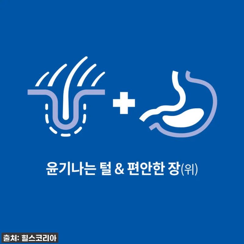 ✨찐후기!✨ 힐스 강아지사료 센서티브 관련 이미지 1