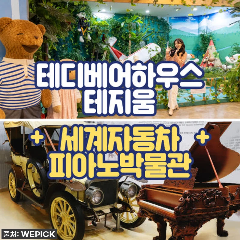 제주 여행 필수 코스? 테디베어 테지 관련 이미지 1