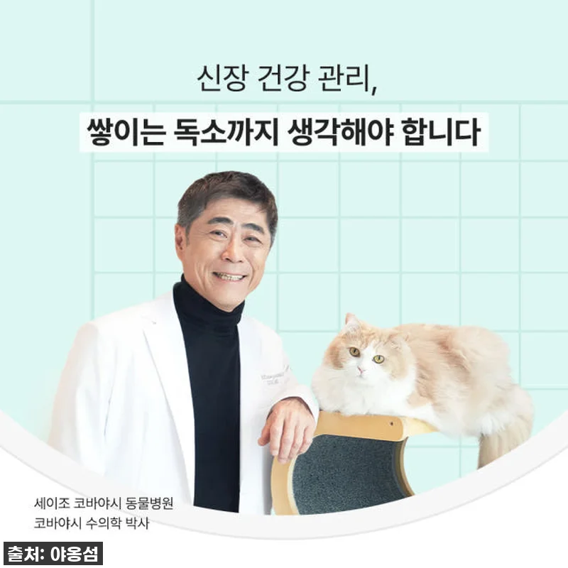 우리 냥이 신장 건강 지킴이! 요독소 관련 이미지 1
