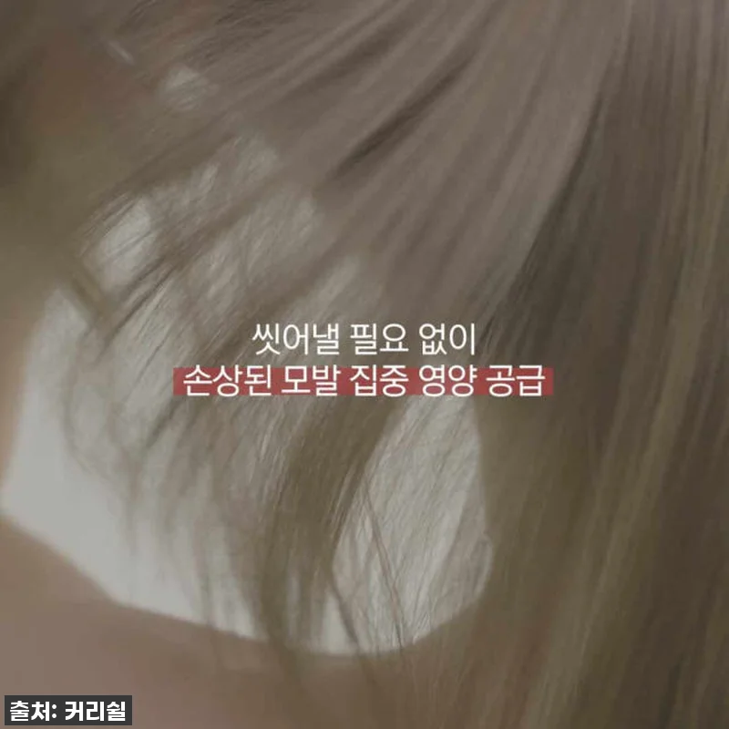 극손상모 구원템 등극! 커리쉴 헤어 관련 이미지 3