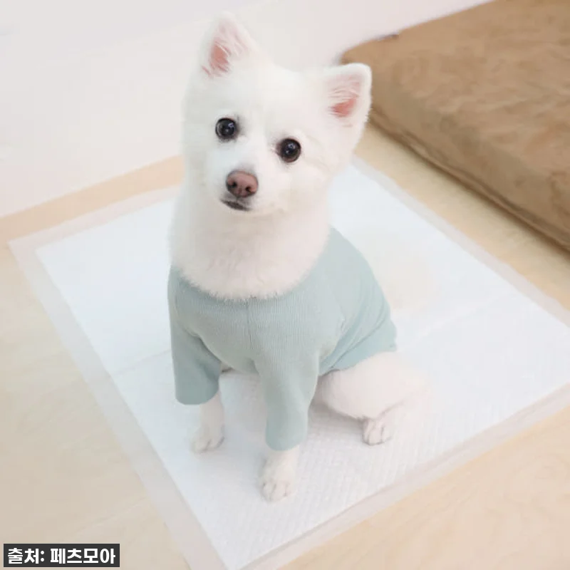 페츠모아 요술배변패드 특대형 찐후기: 관련 이미지 4