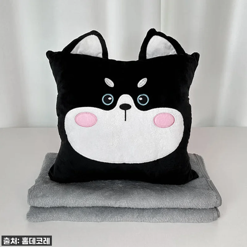 찐후기! 품절대란 예상! 쿠션담요 극 관련 이미지 5