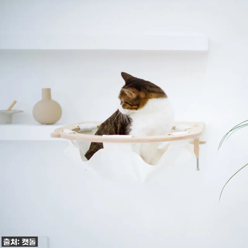 이건 꼭 사야 해! 뚱냥이도 편안한 관련 이미지 5