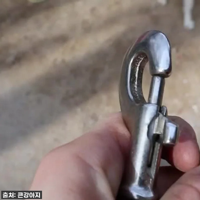 활동량 많은 대형견 와이어줄, 드디어 관련 이미지 6