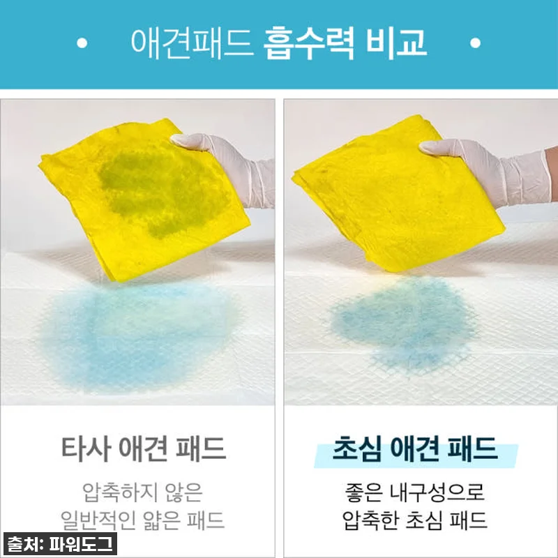 이건 진짜 찐이야! ✨ 초심 강아지 관련 이미지 7
