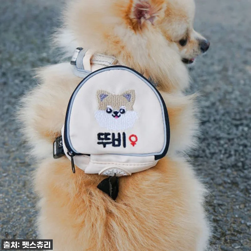 이 가격에 커스텀까지? 펫스츄리 강아 관련 이미지 7