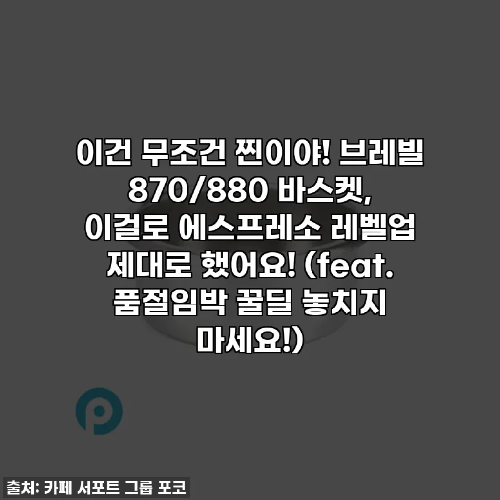 이건 무조건 찐이야! 브레빌 870/880 바스켓, 이걸로 에스프레소 레벨업 제대로 했어요! (feat. 품절임박 꿀딜 놓치지 마세요!)