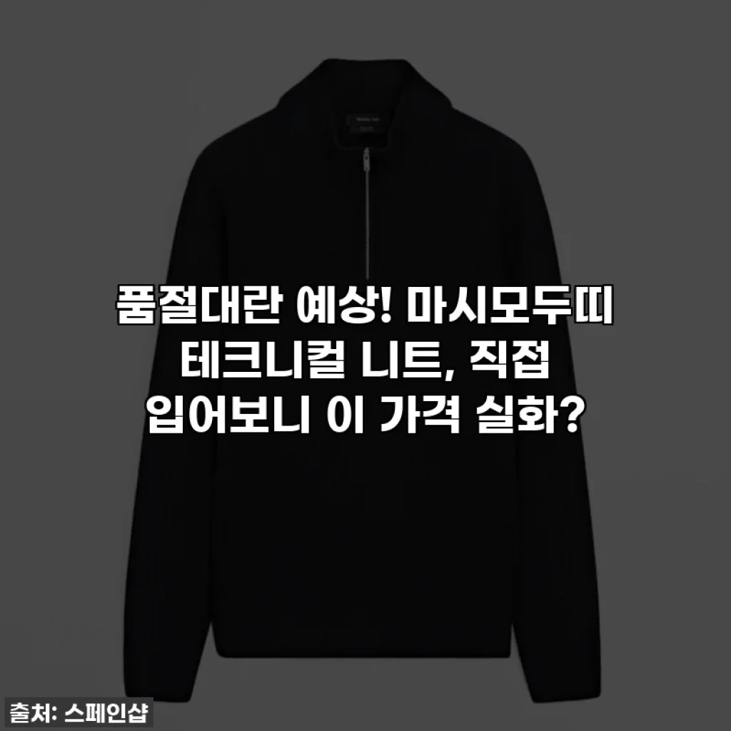 품절대란 예상! 마시모두띠 테크니컬 니트, 직접 입어보니 이 가격 실화?