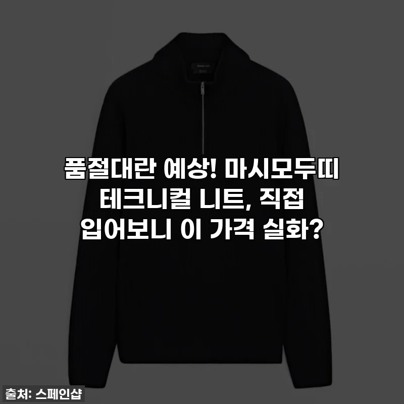 품절대란 예상! 마시모두띠 테크니컬 니트, 직접 입어보니 이 가격 실화?