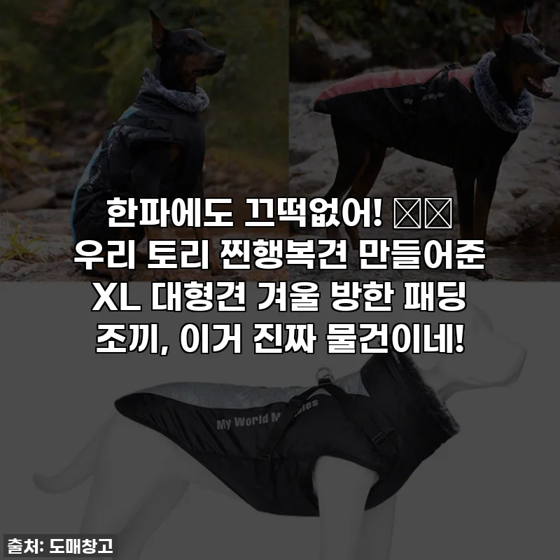 한파에도 끄떡없어! ❄️ 우리 토리 찐행복견 만들어준 XL 대형견 겨울 방한 패딩 조끼, 이거 진짜 물건이네!