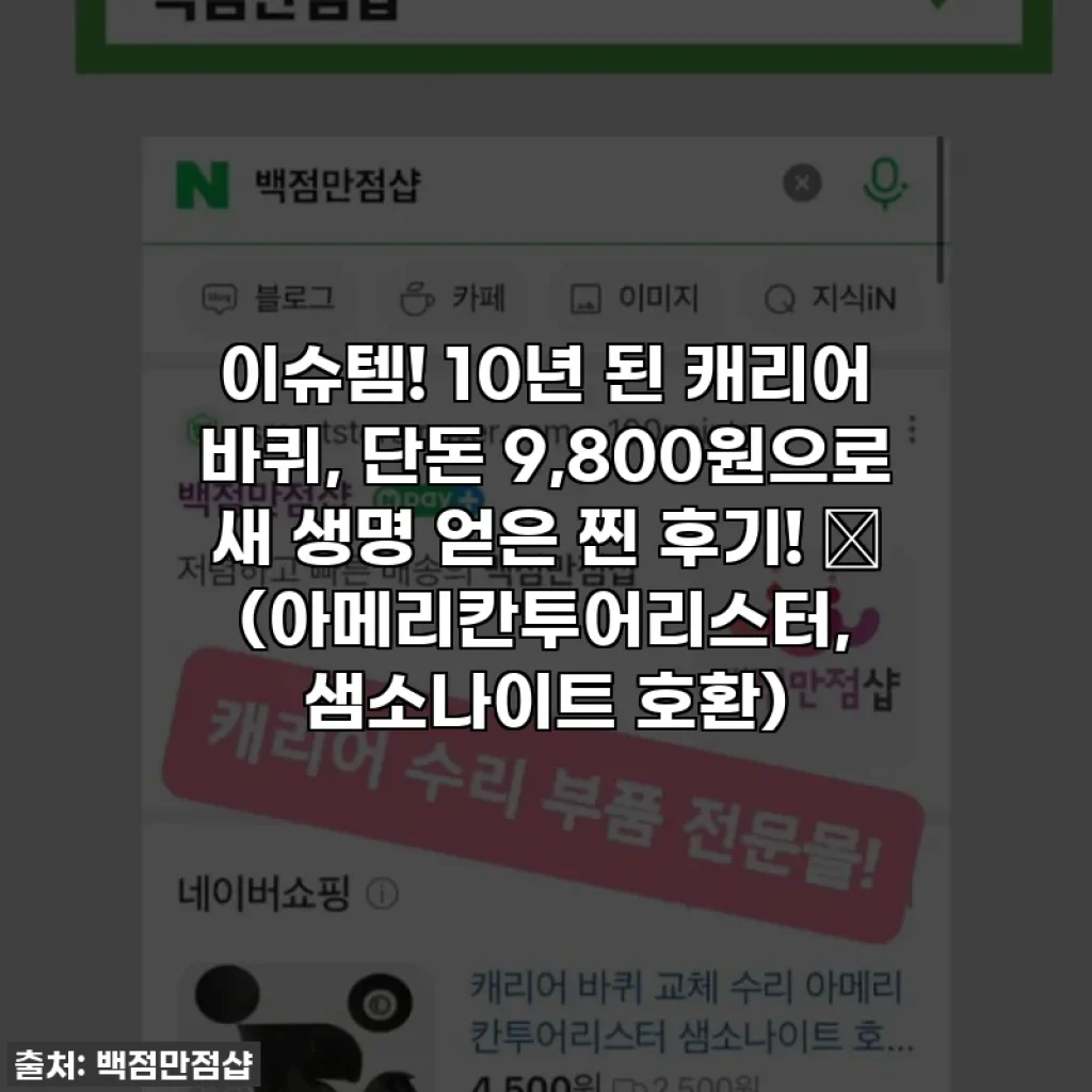 이슈템! 10년 된 캐리어 바퀴, 단돈 9,800원으로 새 생명 얻은 찐 후기! ✨ (아메리칸투어리스터, 샘소나이트 호환)