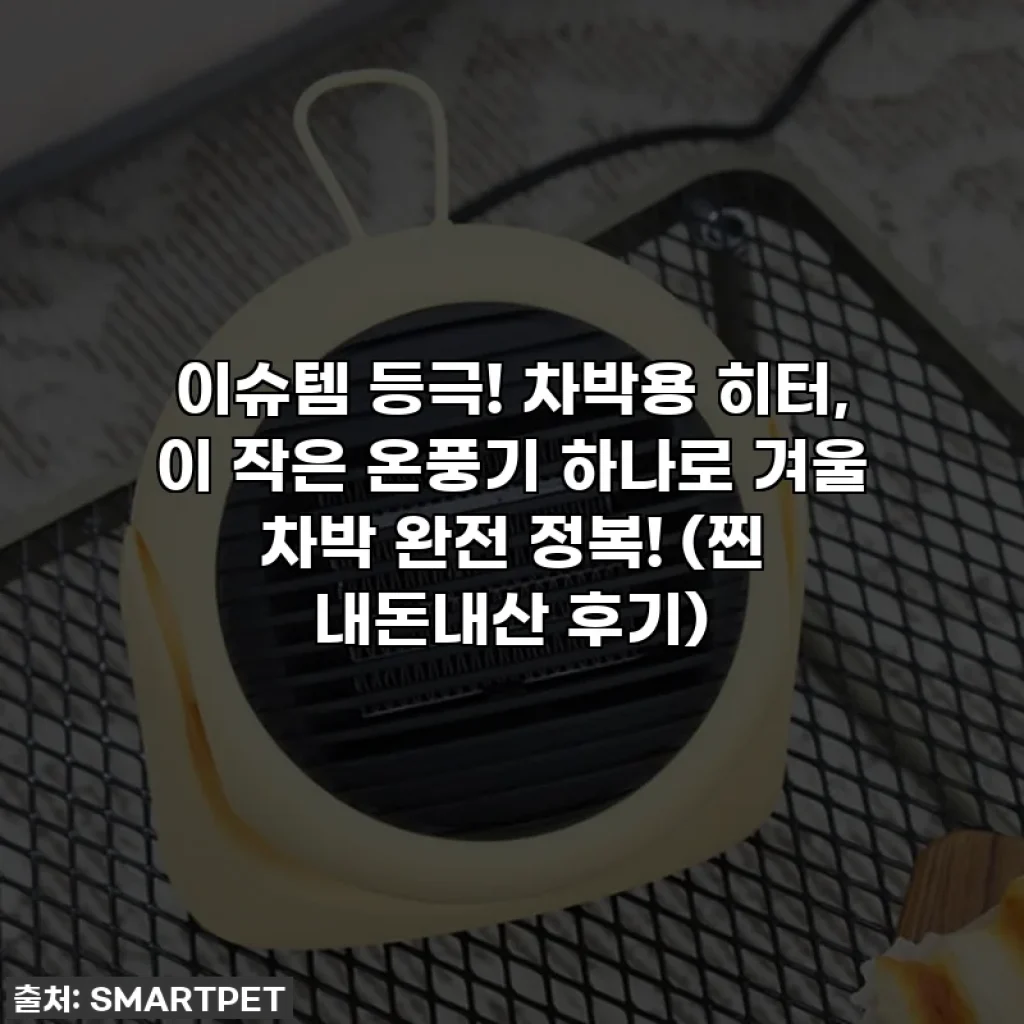 이슈템 등극! 차박용 히터, 이 작은 온풍기 하나로 겨울 차박 완전 정복! (찐 내돈내산 후기)