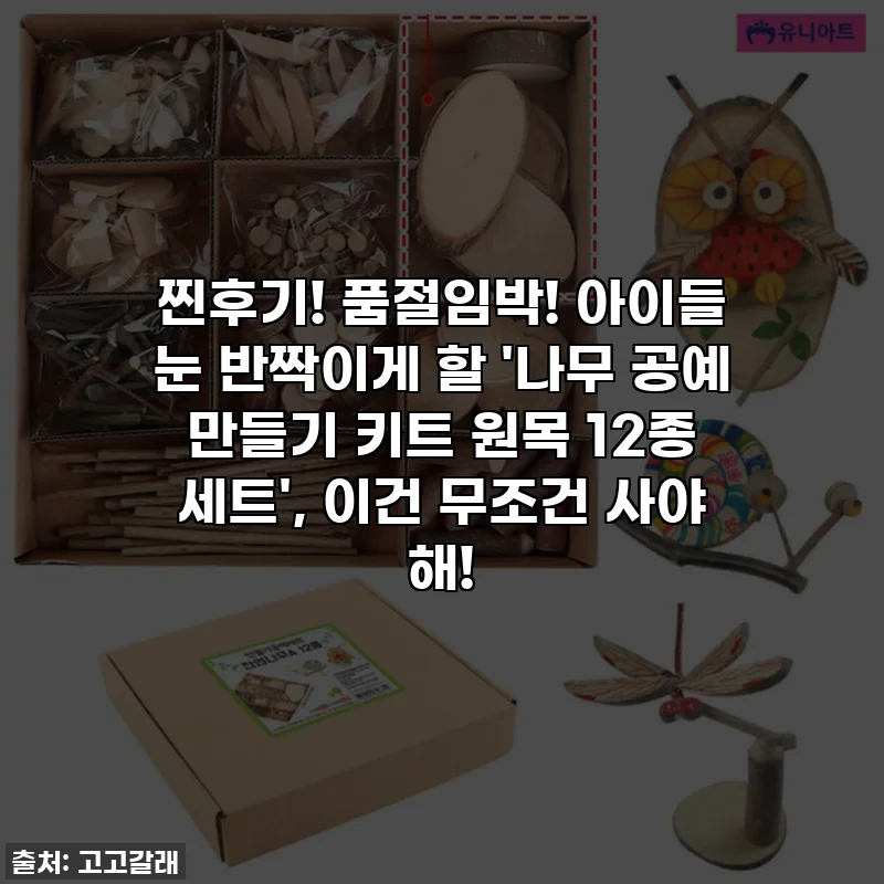 찐후기! 품절임박! 아이들 눈 반짝이게 할 '나무 공예 만들기 키트 원목 12종 세트', 이건 무조건 사야 해!