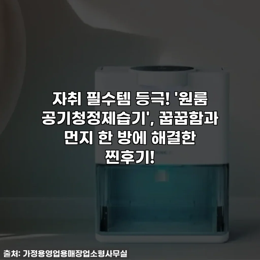 자취 필수템 등극! '원룸 공기청정제습기', 꿉꿉함과 먼지 한 방에 해결한 찐후기!