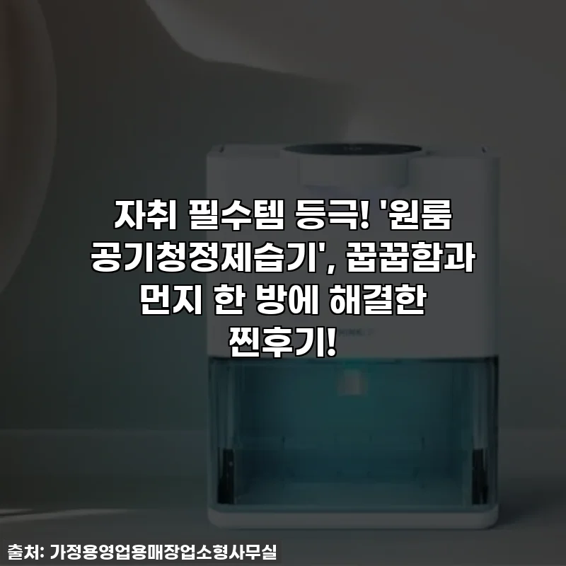 자취 필수템 등극! '원룸 공기청정제습기', 꿉꿉함과 먼지 한 방에 해결한 찐후기!