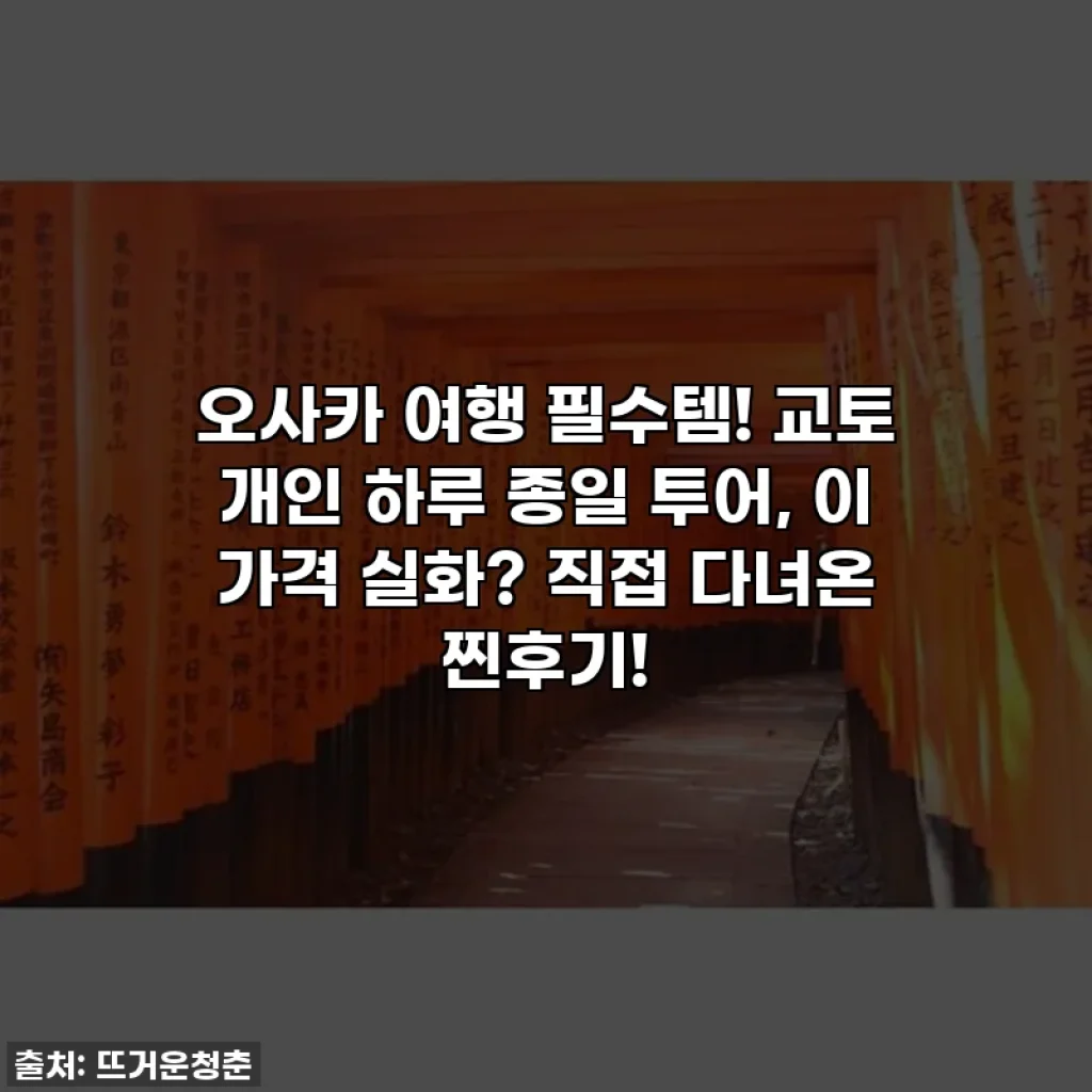 오사카 여행 필수템! 교토 개인 하루 종일 투어, 이 가격 실화? 직접 다녀온 찐후기!