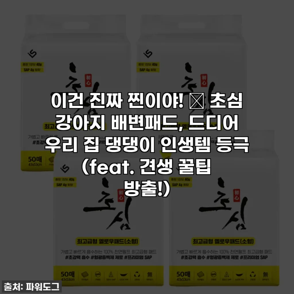 이건 진짜 찐이야! ✨ 초심 강아지 배변패드, 드디어 우리 집 댕댕이 인생템 등극 (feat. 견생 꿀팁 방출!)