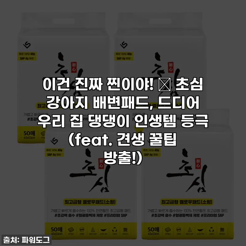 이건 진짜 찐이야! ✨ 초심 강아지 배변패드, 드디어 우리 집 댕댕이 인생템 등극 (feat. 견생 꿀팁 방출!)