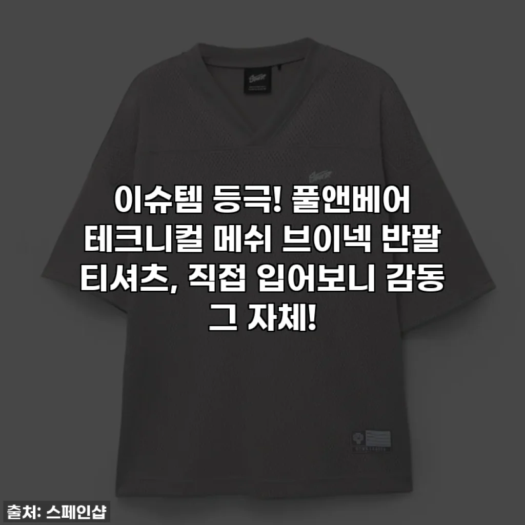 이슈템 등극! 풀앤베어 테크니컬 메쉬 브이넥 반팔 티셔츠, 직접 입어보니 감동 그 자체!