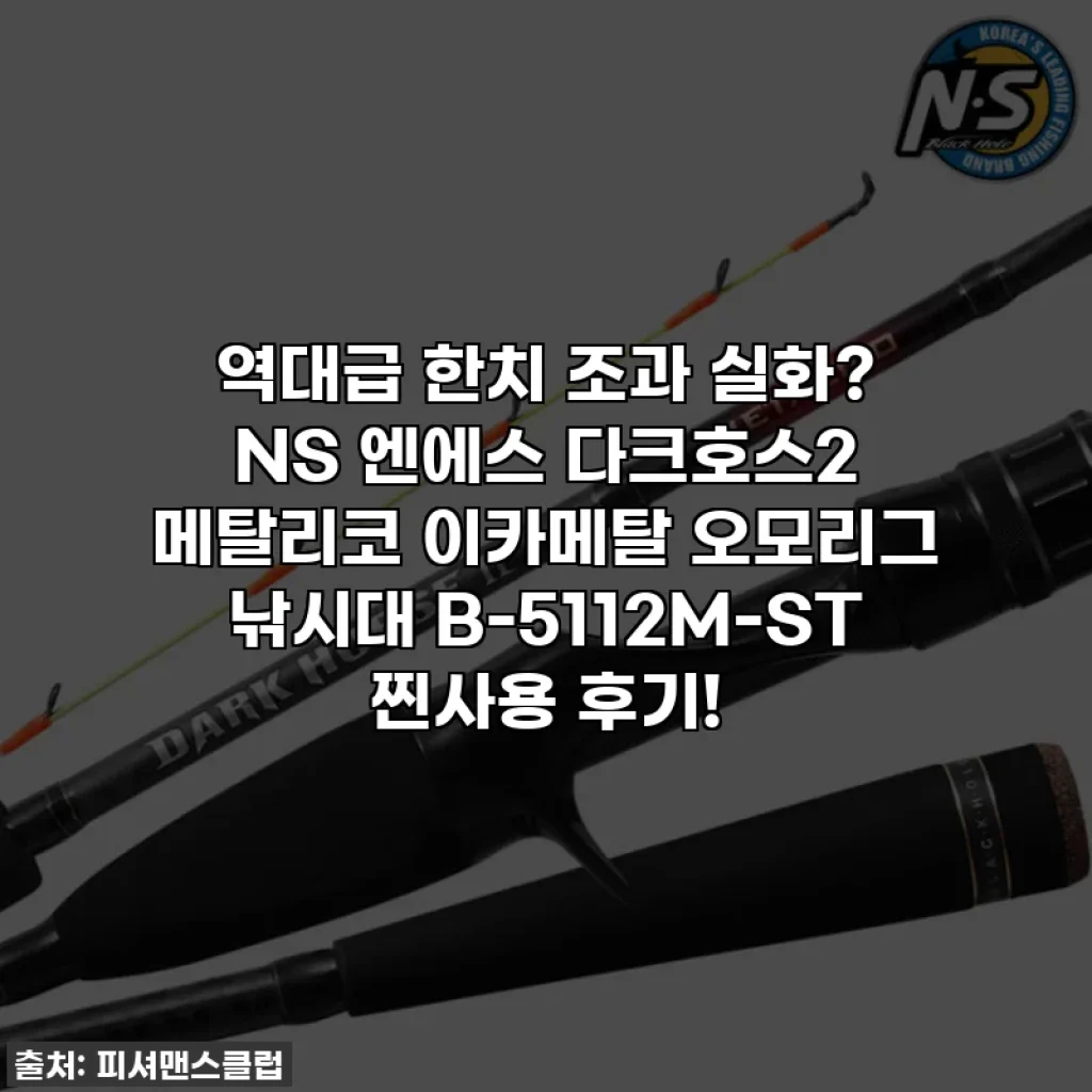 역대급 한치 조과 실화? NS 엔에스 다크호스2 메탈리코 이카메탈 오모리그 낚시대 B-5112M-ST 찐사용 후기!