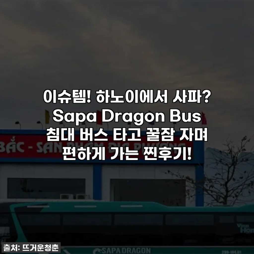이슈템! 하노이에서 사파? Sapa Dragon Bus 침대 버스 타고 꿀잠 자며 편하게 가는 찐후기!