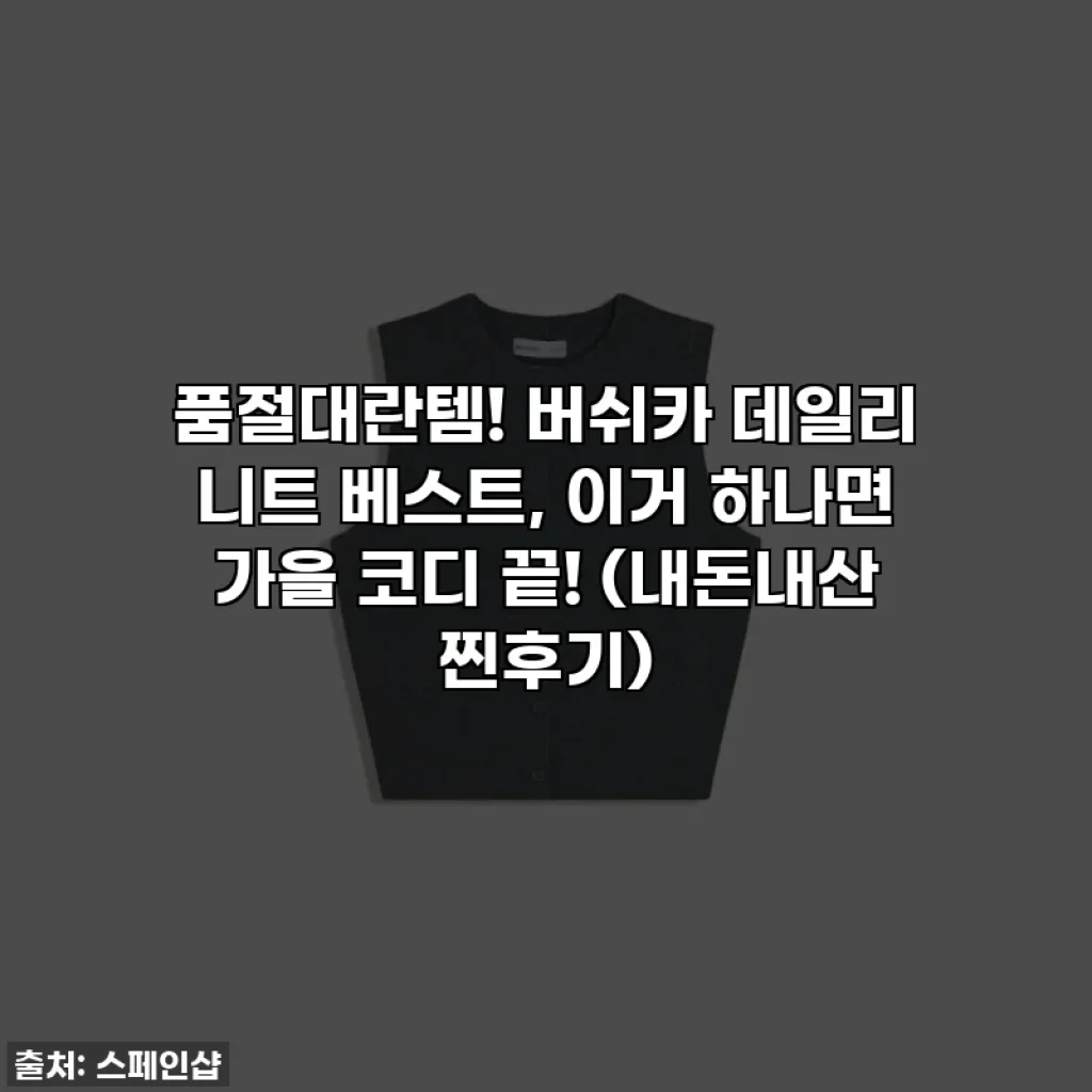 품절대란템! 버쉬카 데일리 니트 베스트, 이거 하나면 가을 코디 끝! (내돈내산 찐후기)