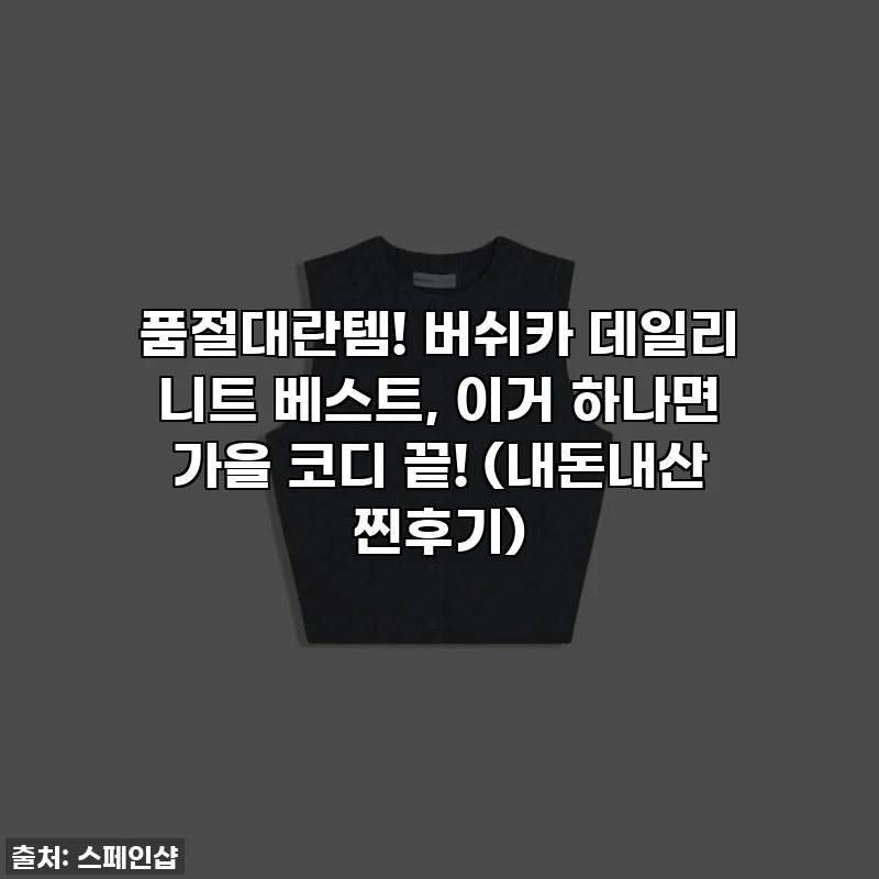 품절대란템! 버쉬카 데일리 니트 베스트, 이거 하나면 가을 코디 끝! (내돈내산 찐후기)