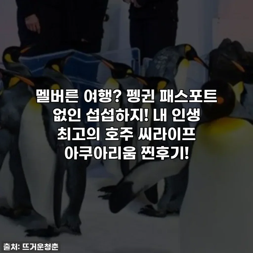 멜버른 여행? 펭귄 패스포트 없인 섭섭하지! 내 인생 최고의 호주 씨라이프 아쿠아리움 찐후기!