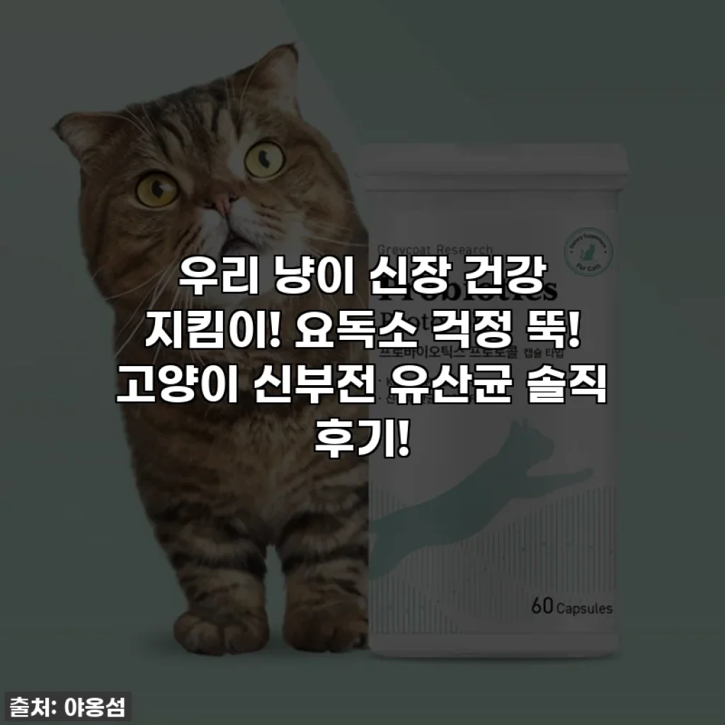 우리 냥이 신장 건강 지킴이! 요독소 걱정 뚝! 고양이 신부전 유산균 솔직 후기!