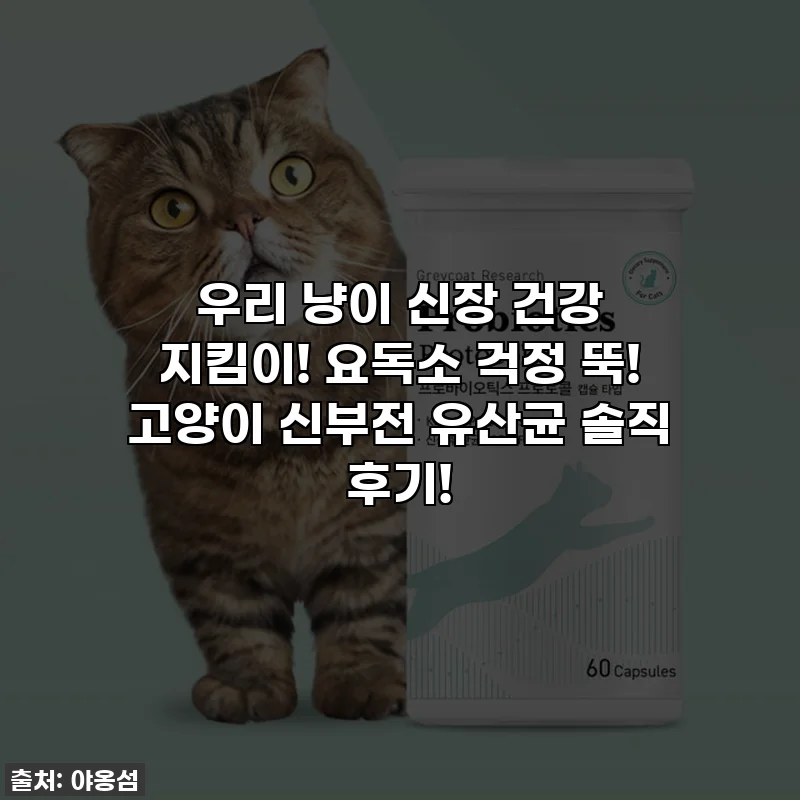 우리 냥이 신장 건강 지킴이! 요독소 걱정 뚝! 고양이 신부전 유산균 솔직 후기!
