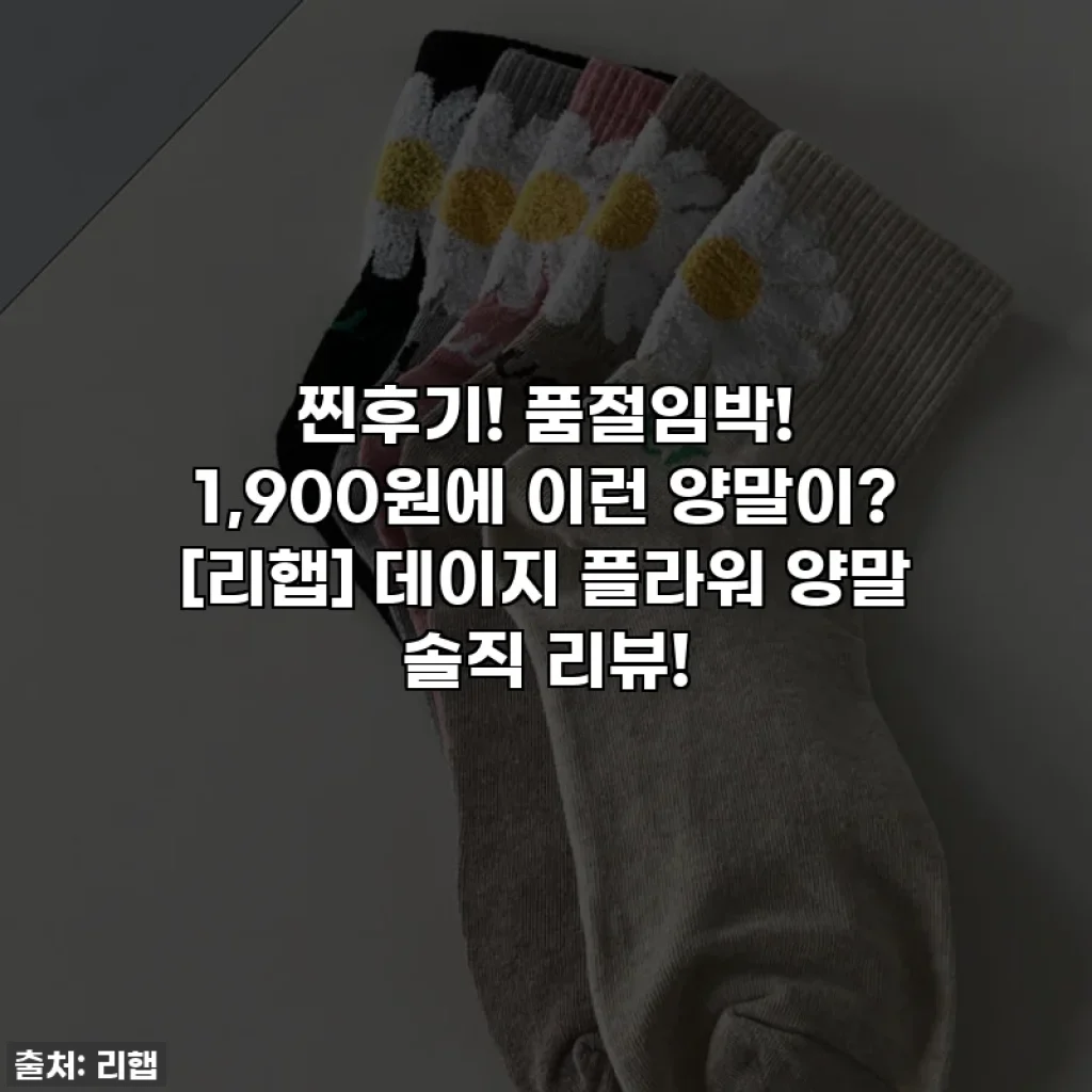 찐후기! 품절임박! 1,900원에 이런 양말이? [리햅] 데이지 플라워 양말 솔직 리뷰!