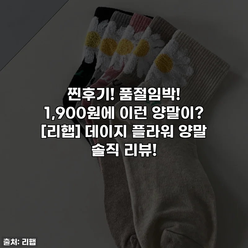 찐후기! 품절임박! 1,900원에 이런 양말이? [리햅] 데이지 플라워 양말 솔직 리뷰!