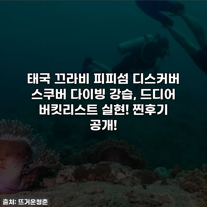 태국 끄라비 피피섬 디스커버 스쿠버 다이빙 강습, 드디어 버킷리스트 실현! 찐후기 공개!