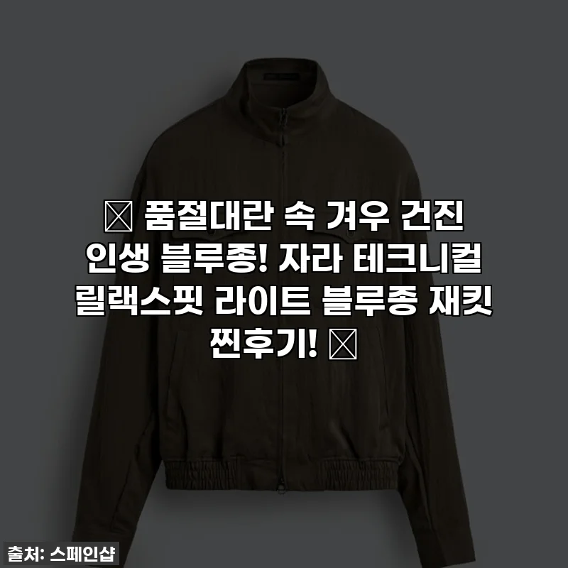 🔥 품절대란 속 겨우 건진 인생 블루종! 자라 테크니컬 릴랙스핏 라이트 블루종 재킷 찐후기! 🥺
