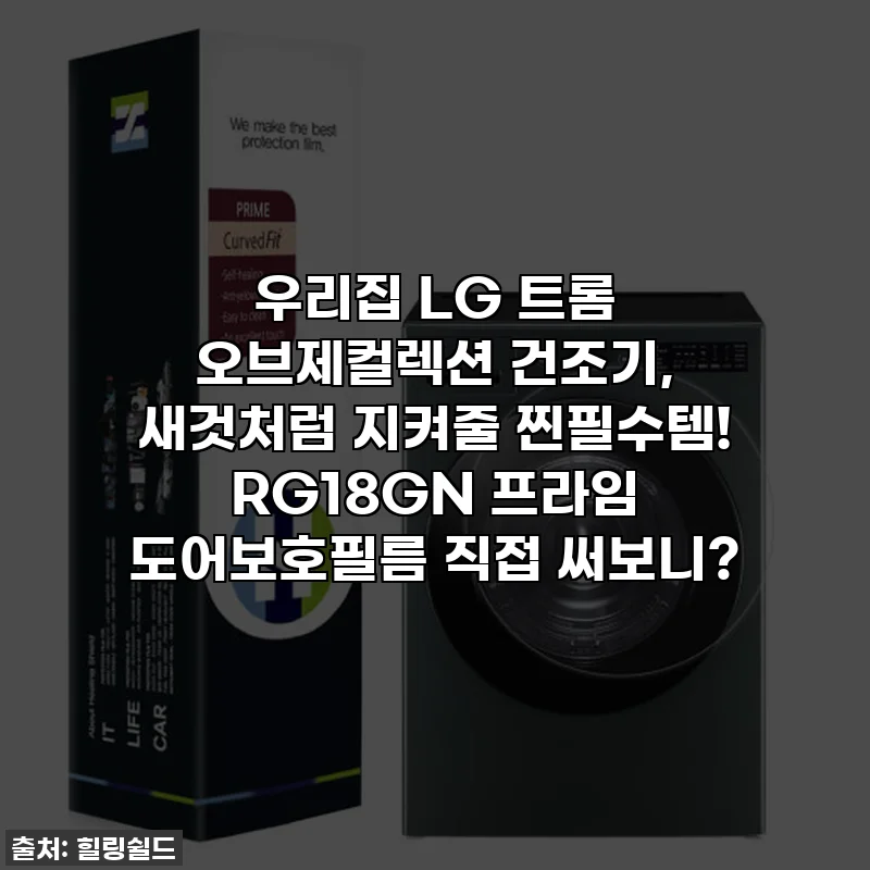 우리집 LG 트롬 오브제컬렉션 건조기, 새것처럼 지켜줄 찐필수템! RG18GN 프라임 도어보호필름 직접 써보니?