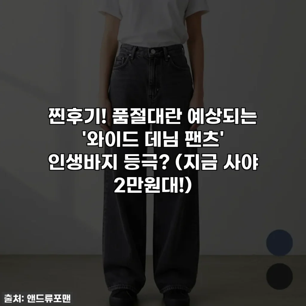 찐후기! 품절대란 예상되는 '와이드 데님 팬츠' 인생바지 등극? (지금 사야 2만원대!)