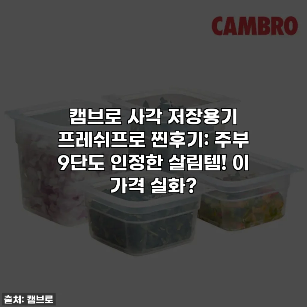 캠브로 사각 저장용기 프레쉬프로 찐후기: 주부 9단도 인정한 살림템! 이 가격 실화?