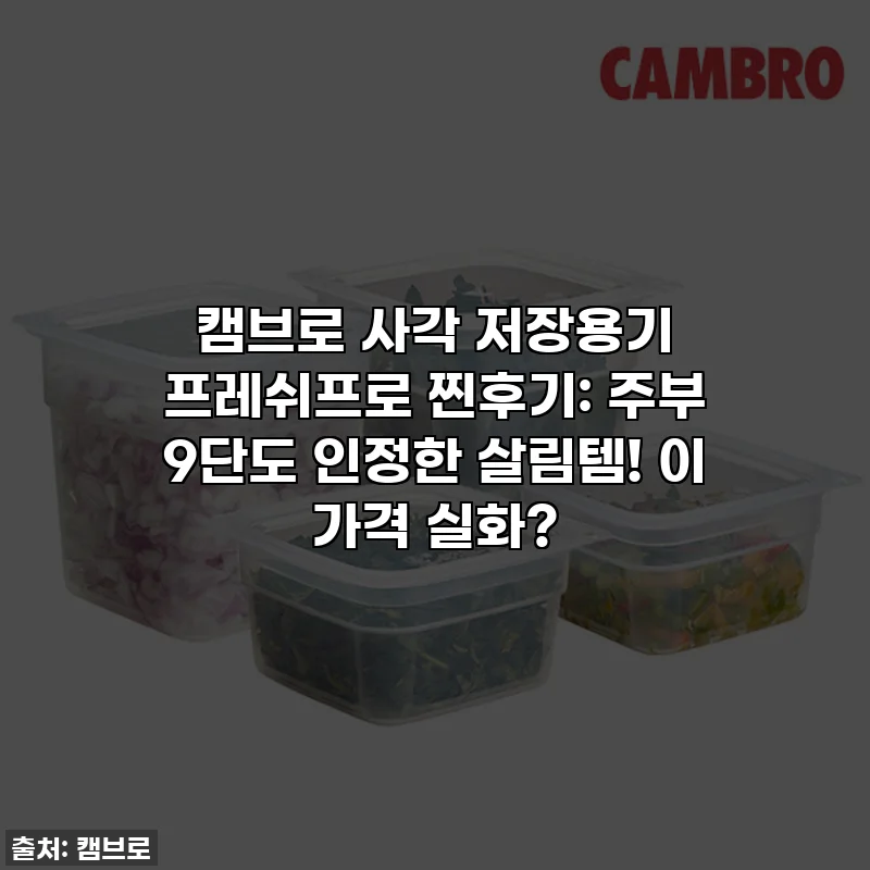 캠브로 사각 저장용기 프레쉬프로 찐후기: 주부 9단도 인정한 살림템! 이 가격 실화?
