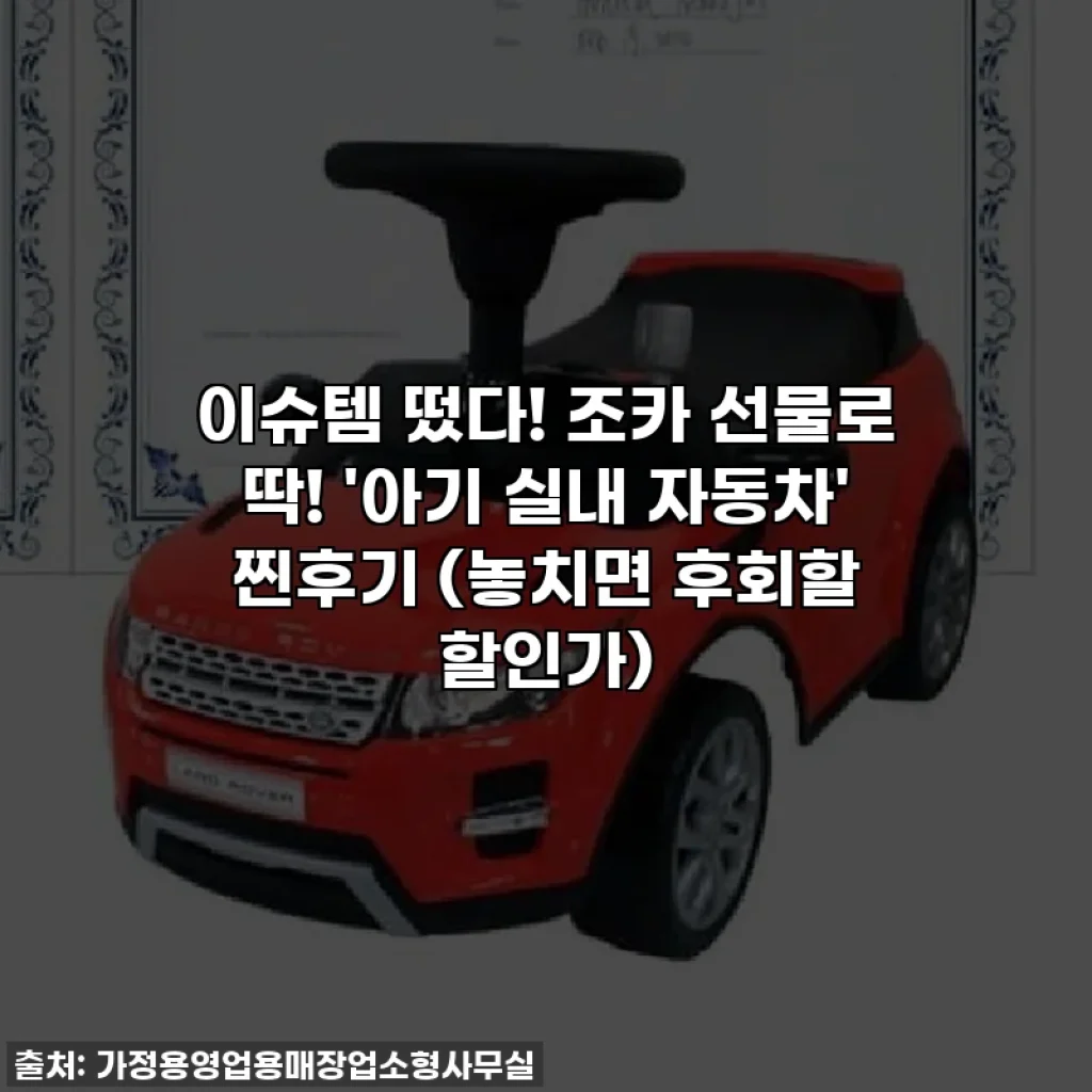 이슈템 떴다! 조카 선물로 딱! '아기 실내 자동차' 찐후기 (놓치면 후회할 할인가)