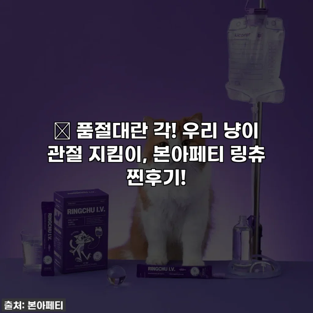 💥 품절대란 각! 우리 냥이 관절 지킴이, 본아페티 링츄 찐후기!