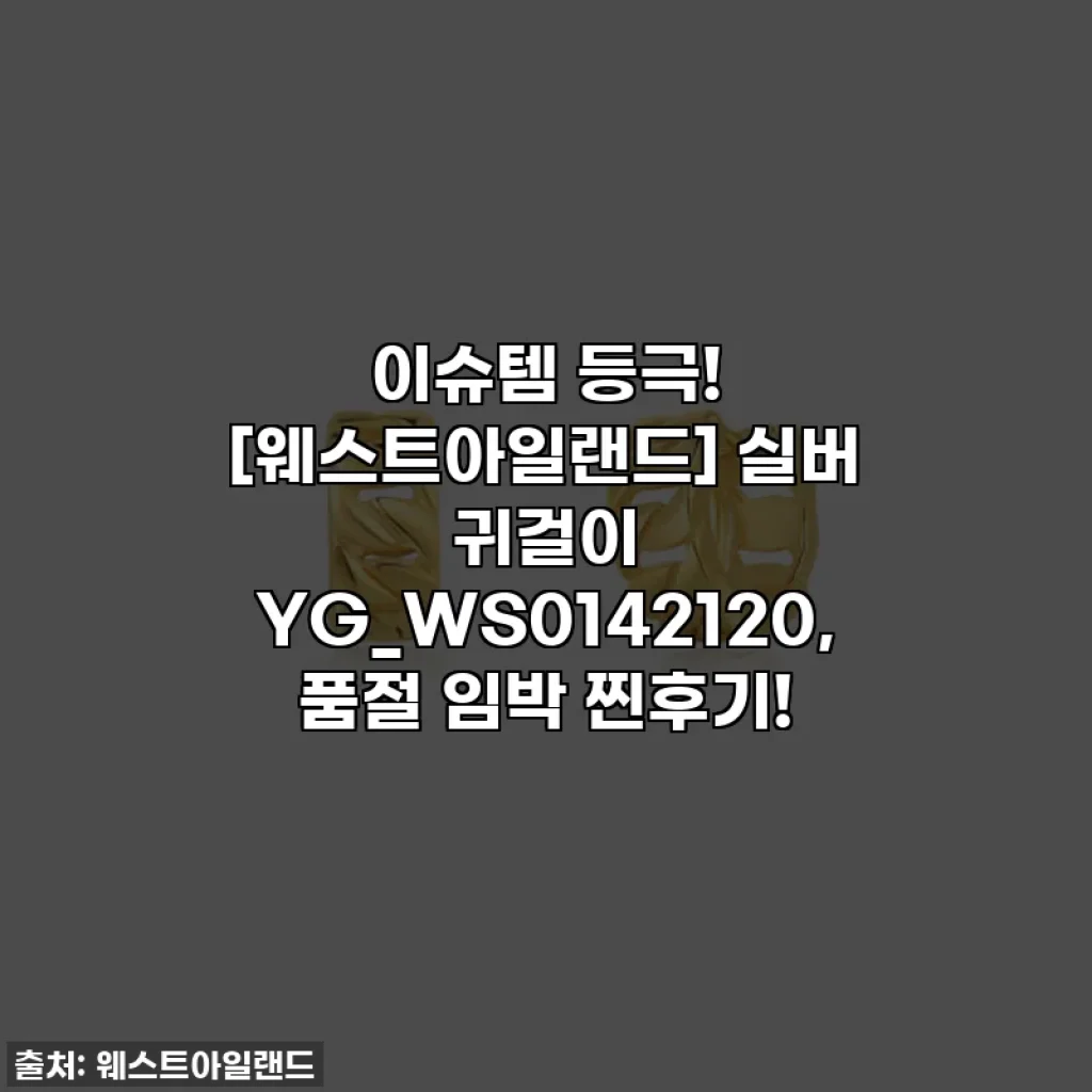 이슈템 등극! [웨스트아일랜드] 실버 귀걸이 YG_WS0142120, 품절 임박 찐후기!