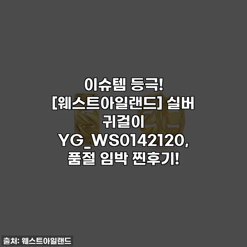 이슈템 등극! [웨스트아일랜드] 실버 귀걸이 YG_WS0142120, 품절 임박 찐후기!