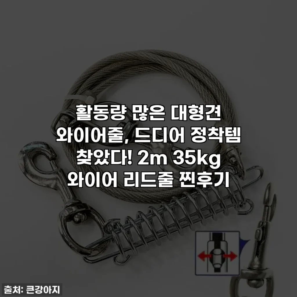 활동량 많은 대형견 와이어줄, 드디어 정착템 찾았다! 2m 35kg 와이어 리드줄 찐후기