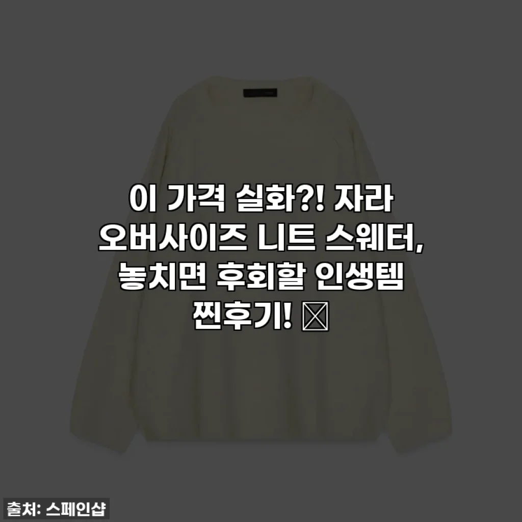 이 가격 실화?! 자라 오버사이즈 니트 스웨터, 놓치면 후회할 인생템 찐후기! ✨