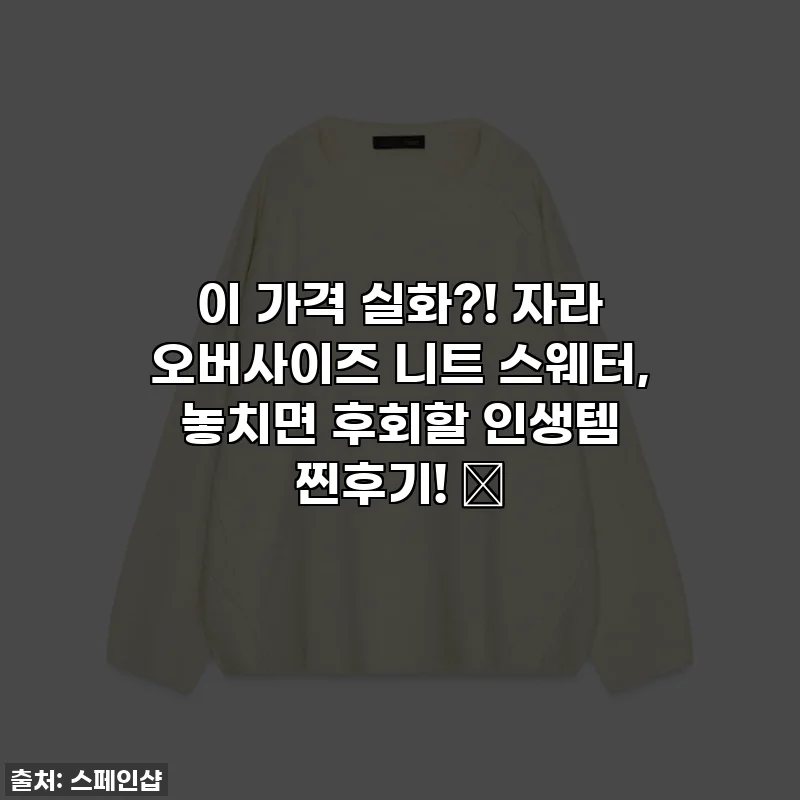 이 가격 실화?! 자라 오버사이즈 니트 스웨터, 놓치면 후회할 인생템 찐후기! ✨