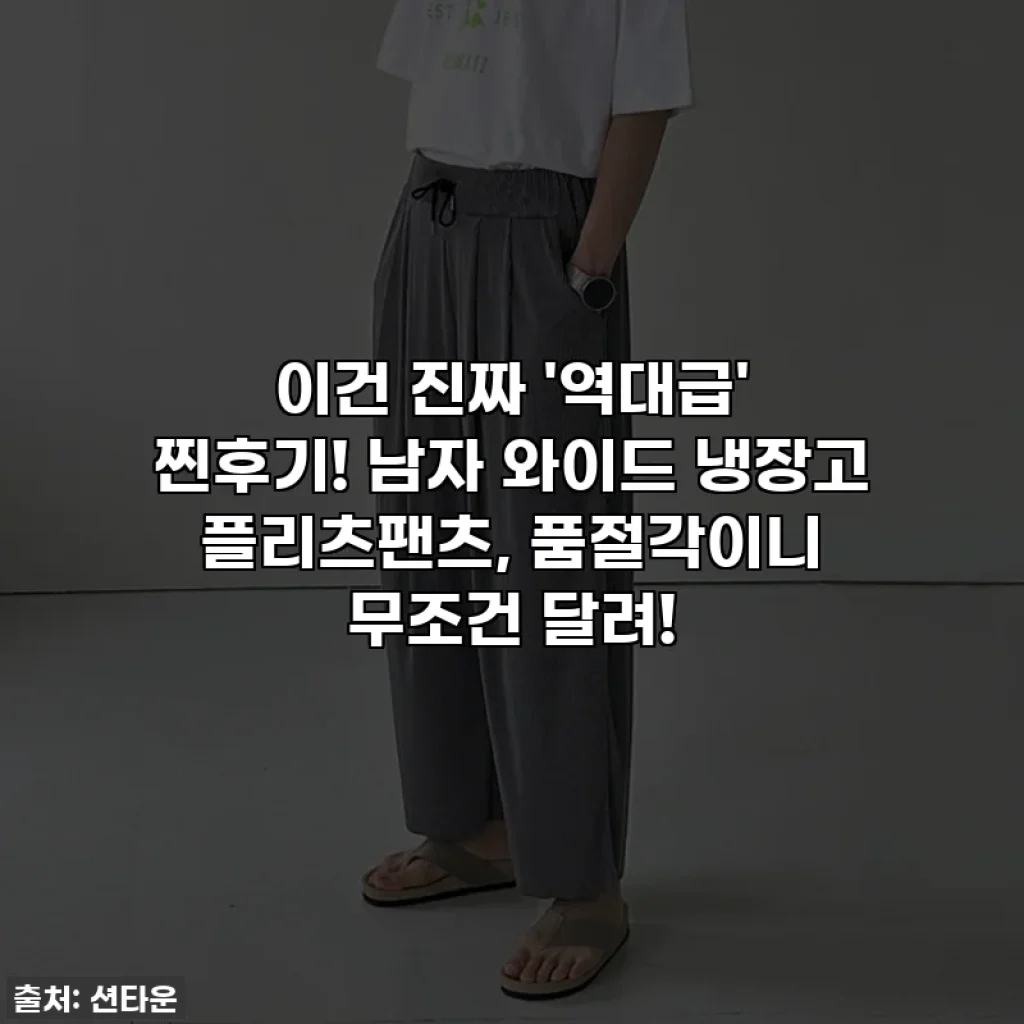 이건 진짜 '역대급' 찐후기! 남자 와이드 냉장고 플리츠팬츠, 품절각이니 무조건 달려!