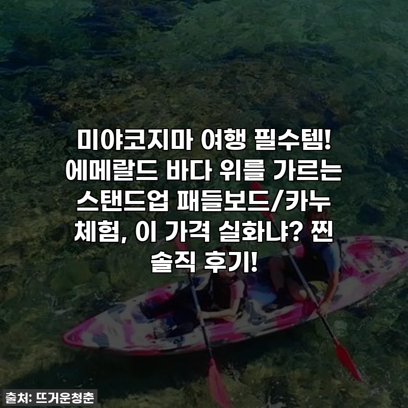 미야코지마 여행 필수템! 에메랄드 바다 위를 가르는 스탠드업 패들보드/카누 체험, 이 가격 실화냐? 찐 솔직 후기!