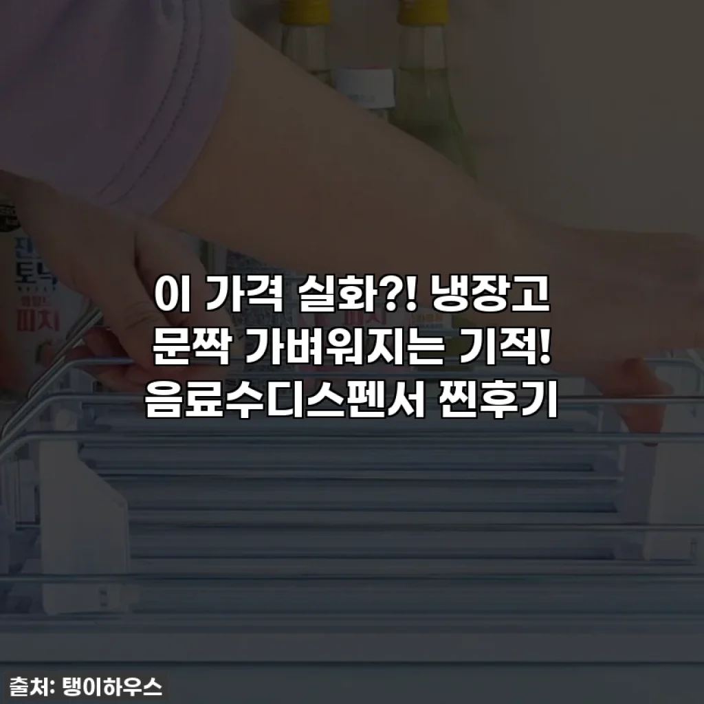 이 가격 실화?! 냉장고 문짝 가벼워지는 기적! 음료수디스펜서 찐후기
